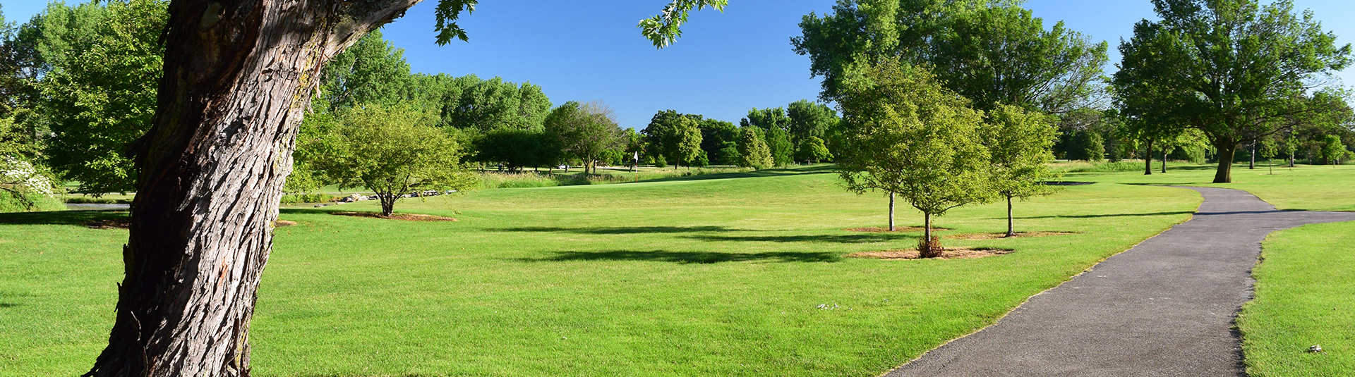 Bliss Creek, Sugar Grove, Illinois Golf course information and reviews.