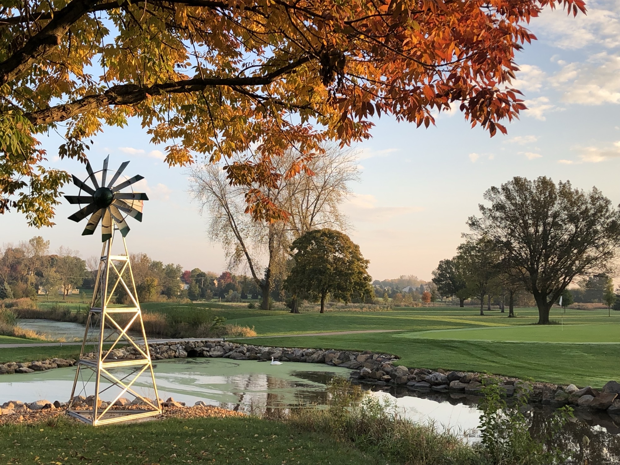 Fall on the course